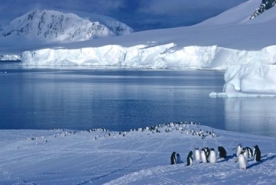 Proyecto de Resolución – Creación de áreas marinas protegidas en los mares que rodean la Antártida