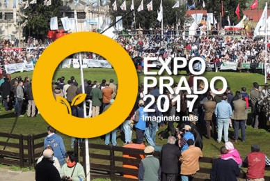 Pedido para que se retire del stand del Reino Unido en EXPO PRADO, realizada en la ciudad de Montevideo, República Oriental del Uruguay